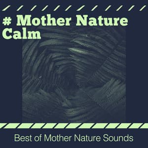 # Mother Nature Calm - Best of Mother Nature Sounds