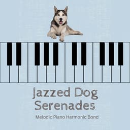 Jazzed Dog Serenades: Melodic Piano Harmonic Bond - Morning Jazz Background Club