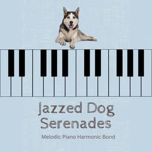 Jazzed Dog Serenades: Melodic Piano Harmonic Bond - Morning Jazz Background Club