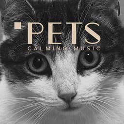 Pets - Calming Dog Music, Soothing Cat Sounds, Nature Sound - Pets Music