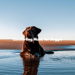 Comforting Music for Doggie - Soft Jazz Background Music