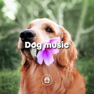 Dog Music - Dog Music