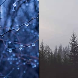 Understated Music for Calming Fridays - Big Band Ballad with Guitar - Easy Listening Afternoon Music