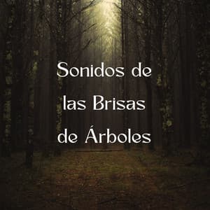 Sonidos De Las Brisas De Árboles - Sonidos Del Bosques