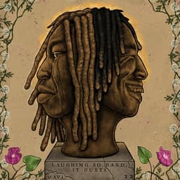 Laughing So Hard It Hurts