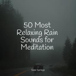 50 Most Relaxing Rain Sounds for Meditation - Nature Chillout