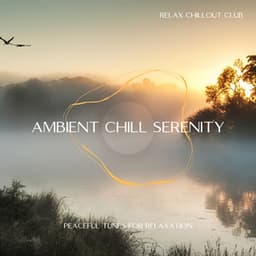 Ambient Chill Serenity: Peaceful Tunes for Relaxation - Relax Chillout Club