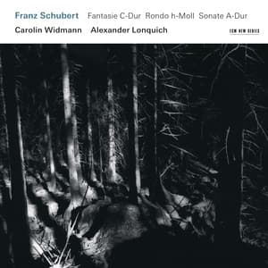 Schubert: Fantasie C-Dur / Rondo h-Moll / Sonate A-Dur - Franz Schubert