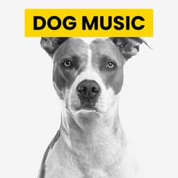 Soft Piano Tones For Dogs - Cat Music