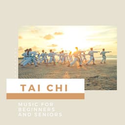 Tai Chi Dvd Music for Beginners and Seniors - Tai Chi