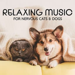 Relaxing Music for Nervous Cats & Dogs: Soothing Instrumental for Hyperactive Pets, Quick Therapy for Stress and Anxiety Relief - Pets Music