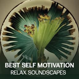 Best Self Motivation: Relax Soundscapes - Mindfulness Meditation Session for Yoga, Sound Therapy & Healing Music, Deep Breath Training, Better Sleep - Meditative Mantra Zone