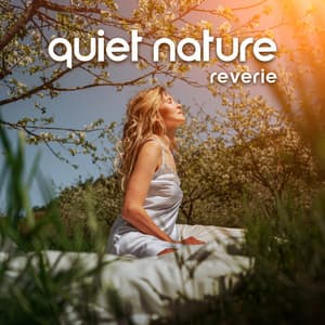 Quiet Nature Reverie: Gently Trickling Water & Soothing Birdsong - Forest Hills Music Universe