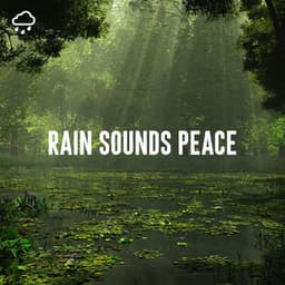 Rain Sounds Peace - Relaxing Rain Recordings