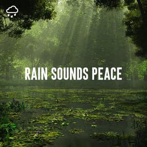 Rain Sounds Peace - Relaxing Rain Recordings