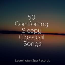 50 Comforting Sleepy Classical Songs - Ambient Arena