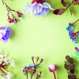 Debonair Music for Coffee at Night - Piano Bossa Nova Duo - #Relaxing