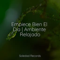 Empiece Bien El Día | Ambiente Relajado - Relajante Academia de Música Zen