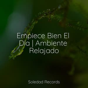 Empiece Bien El Día | Ambiente Relajado - Relajante Academia de Música Zen