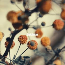 Cool Sunrise - Cafe Chillout Jazz