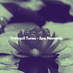 Tranquil Tunes - Spa Moments - Relaxing Spa Music