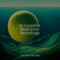 50 Loopable Meditation Recordings - Japanese Relaxation and Meditation