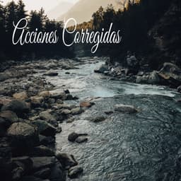 Acciones Corregidas - Música Instrumental Maestro