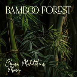Bamboo Forest - Tao Te Ching Music Zone