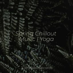 Spring Chillout Music | Yoga - Brain Study Music Guys