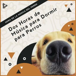 2 Horas de Música para Dormir para Perros - Hora de la Música del Perro