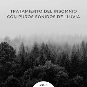 Tratamiento Del Insomnio Con Puros Sonidos De Lluvia Vol. 1 - Lluvia Suena Dormir