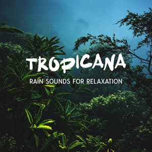 Sounds of Nature: Focus and Meditation - Spa Zen Meanings