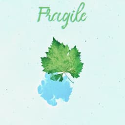 Fragile - Spa Musique Massage