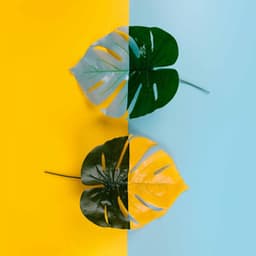 Music for Relaxed Sunday Nite - Funky Jazz Quintet - Música Chill para Cafe