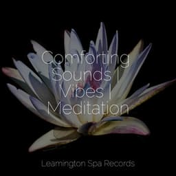 Comforting Sounds | Vibes | Meditation - It's Raining