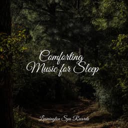 Comforting Music for Sleep - Rain Sounds Collection