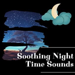 Soothing Night Time Sounds - Night Sounds Channel