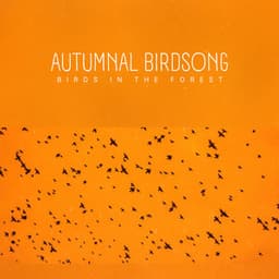 Autumnal Birdsong - Birds In The Forest
