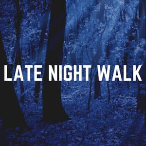 Late Night Walk - Cricket Sounds