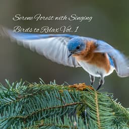 Serene Forest with Singing Birds to Relax Vol. 1 - The Nature Soundscapes