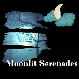 Moonlit Serenades - Night Sounds Channel