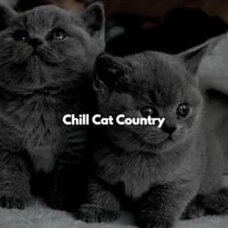 Chill Cat Country - Música para Desayuno Música De Fondo