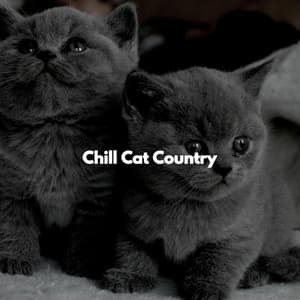 Chill Cat Country - Música para Desayuno Música De Fondo