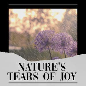 Nature's Tears of Joy - 24H Rain Sounds