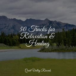50 Tracks for Relaxation & Healing - Alpha Waves