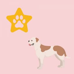 Music for Doggy Discoveries - Puppy Sleeping Sounds