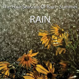 The Four Seasons Of Rain - Summer - Edgar Withers