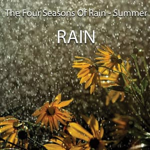 The Four Seasons Of Rain - Summer - Edgar Withers