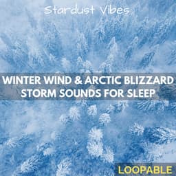 Winter Wind & Arctic Blizzard Storm Sounds for Sleep - Stardust Vibes