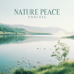Endless Nature Peace: A Wave of Peaceful Sounds - Exotic Nature Kingdom